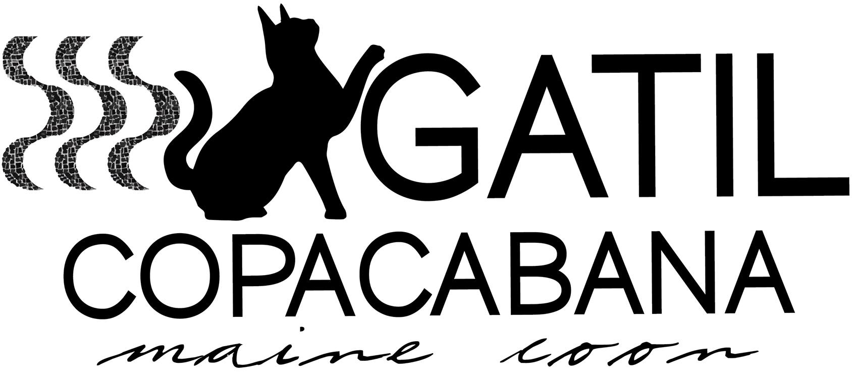 Gatil Copacabana Maine Coon